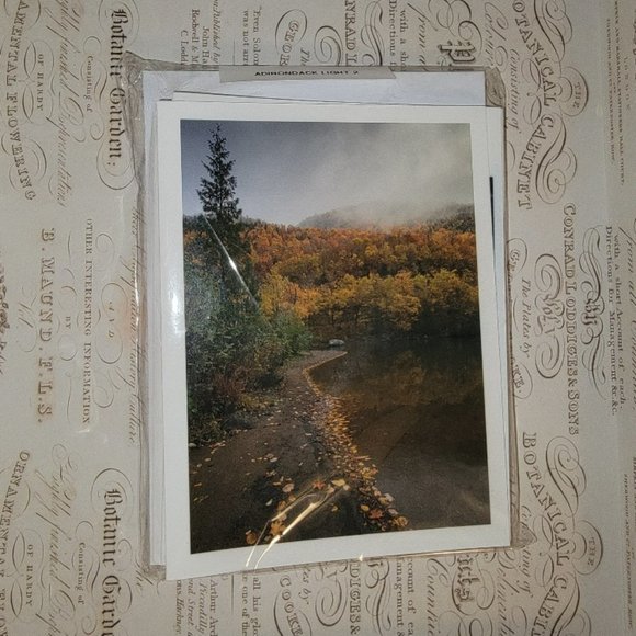 Packet of 8 Notecards - Adirondack Light 2 - Picture 12 of 12